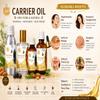 LEVENMOOI Avocado (Persea Americana) Carrier Oil 30ml for Premium Quality Multipurpose use Carrier Oil Glass Bottle with Dropper view 3