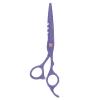 6 Inch Stainless Steel Beard Trimming Scissors, Barber Scissors for Hair Cutting and Mustache Grooming, Ergonomic Handle Shears with Precision Blade, for Home Salon and (Purple) view 1
