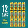 Jamaican Ginger Beer | Bold & Refreshing Sparkling Soft Drink 12 x 330ml Cans | Perfect for Cocktails, Mocktails & Everyday Refreshment view 4