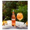 FAKHRI Light Spanish Clementine Tonic Water, 500ml Refreshing Citrus Sparkling Mixer with Natural Clementine Flavour, Low-Calorie Premium Tonic Drink view 2