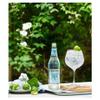 FAKHRI Refreshingly Light Indian Tonic Water | Crisp & Low Calorie Mixer | 500ml Bottle view 2