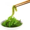 Fresh and Crispy Seaweed (100g) Sea Grapes Are A Nutritious Fruit Known As Ocean Jade, Healthy Algae, Seaweed Salad, Healthy Cold Salad, Pickles, Casual Snacks, and Nutritious Sea Grapes (5 bags) view 4
